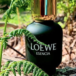 Esencia (Eau de Toilette) von Loewe