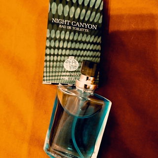 Night Canyon - Real Time