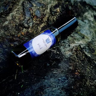 Gorod Myortvyx Korolej / Город мёртвых королей / Huế - Anna Zworykina