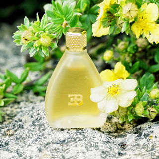 Ettore Bugatti (Eau de Toilette) - Bugatti