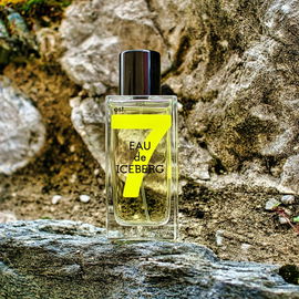 Eau de Iceberg 74 Italian Bergamot - Iceberg