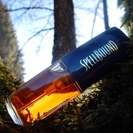 Spellbound (1991) (Eau de Parfum) - Estēe Lauder