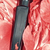 Einige Pfingstrosen waren zu schwer und wurden durch das starke Unwetter nach unten gedrückt... Die Blütenblätter eignen sich aber noch sehr gut für ein Foto 😄🌹 (von JonasP1)