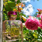 Für Fresh Farbenfroh (von Irini)