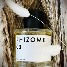 Rhizome 03 - Rhizome