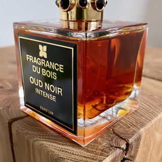Oud Noir Intense by Fragrance Du Bois