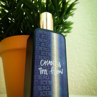 Change The Flow von Iceberg