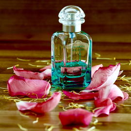 Un Jardin sur le Nil (Eau de Toilette)