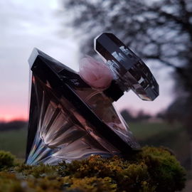 Amo Ferragamo (Eau de Parfum) - Salvatore Ferragamo