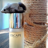 für fresh..Verschleiß durch des Katers Kralle.. (by Timmama)