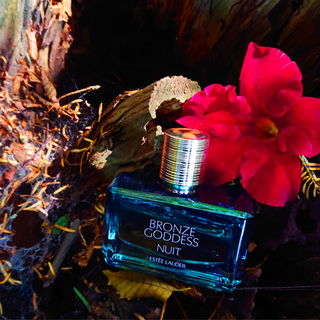 Ist das der Eingang zum Heim der Göttin der Nacht? 🌺💫🌺 Danke für's Vorbeischauen 🥰