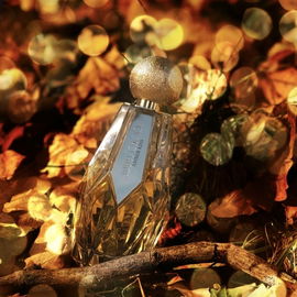 Seduction Collection - Amber Kiss - Jimmy Choo