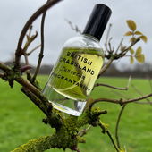 Siehst du die kleinen Regentropfen? So British! (von BeJot)