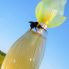 Nilang (1995) (Eau de Toilette) - Lalique