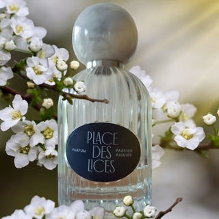 Passion Figuier von Place des Lices