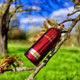 Aoud Shiny - Montale