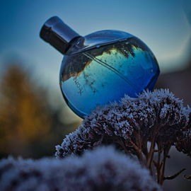 Ein letzter winterlicher Gruß aus dem Garten mit der Spiegelung der Nachbarsscheune - habt vielen lieben Dank für eure Kommentare