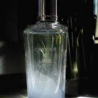 Cartier de Lune - Cartier