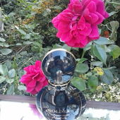 Isla Rose (von pudelbonzo)