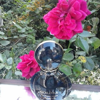 Goldea The Roman Night Absolute by Bvlgari