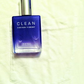 Cotton T-Shirt - Clean