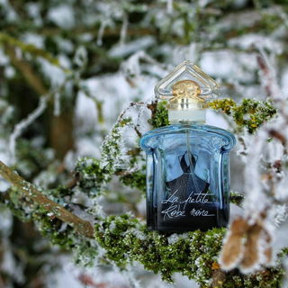 ❄️💙...das  kleine Schwarze  im Winterwonderland❄️😍...ganz herzlichen Dank für Eure lieben Worte - ich freu' mich drüber🥰☃️