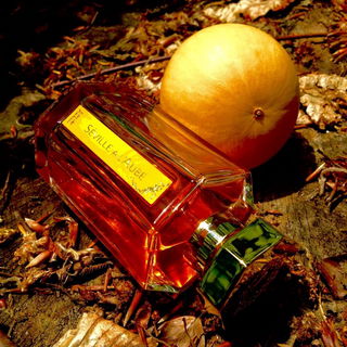 Séville à l'Aube - L'Artisan Parfumeur