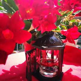 Flower in the Air (Eau de Parfum) by Kenzo