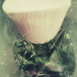 Pleats Please L'Eau - Issey Miyake