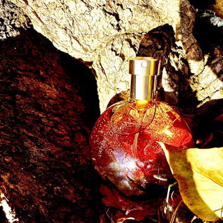 L'Ambre des Merveilles