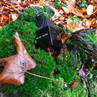 Encre Noire (Eau de Toilette) von Lalique