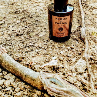 Colonia Sandalo (Eau de Cologne Concentrée) - Acqua di Parma