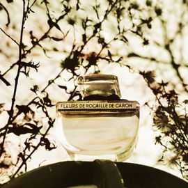Fleurs de Rocaille (Extrait) - Caron