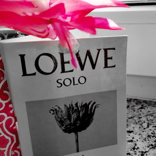 Solo Ella (Eau de Parfum) - Loewe
