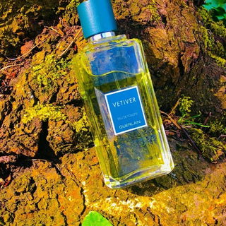 Vetiver (Eau de Toilette) von Guerlain