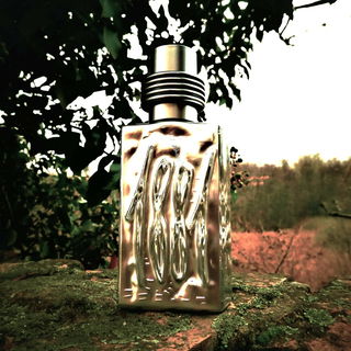 Ohne (Eichen)Moos nix los  :-))