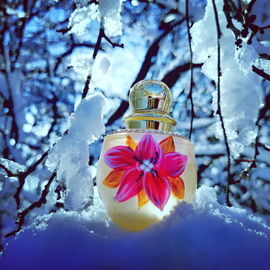 Fleur de Cassis X Mas Edition 2017 - Parfümerie Brückner