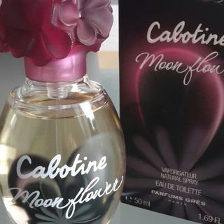 Cabotine Moonflower von Grès