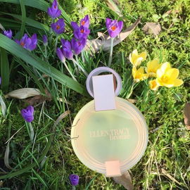 Bronze (Eau de Parfum) - Ellen Tracy