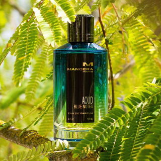 Aoud Blue Notes - Mancera