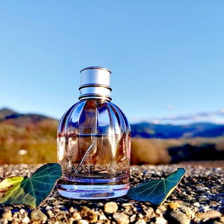Rose (2018) (Eau de Toilette) von L'Occitane en Provence