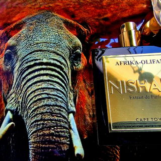 Afrika-Olifant - Nishane