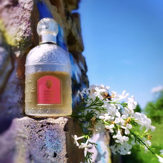 Champs-Élysées (Eau de Parfum) - Guerlain