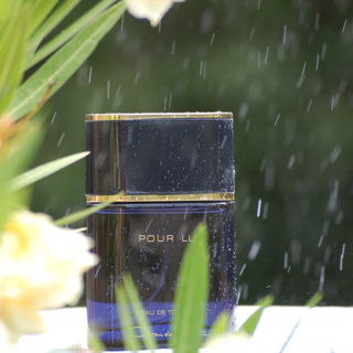 Pour Lui (Eau de Toilette) von Oscar de la Renta