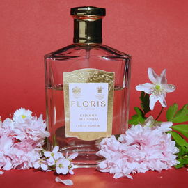 Rose Nue - Les Parfums de Rosine