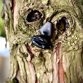 …📷🌍 Thank you. Danke schön. Merci beaucoup. Muchas gracias. Dōmo arigatō gozaimasu 💐… (by Kokusai)