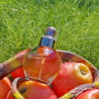 Die Äpfel sind reif und die Schlange wartet schon auf Eve.