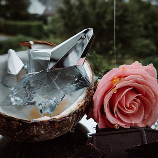 Schokolade flüstert, dunkel, schwer, Honig tropft golden – ein süßes Meer. Kokosnuss haucht sanft, wie Sommerwind, und eine Rose erblüht, so zart, wie ein Kind.  Ein Tanz aus Versuchung, Magie und Glanz, ein Sternenparfum, ein ewiger Tanz 🍯🥥🍫🌹