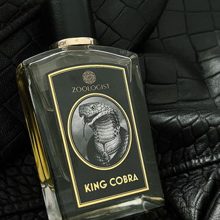 King Cobra - Zoologist