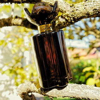 Midnight Amber - Oscar de la Renta